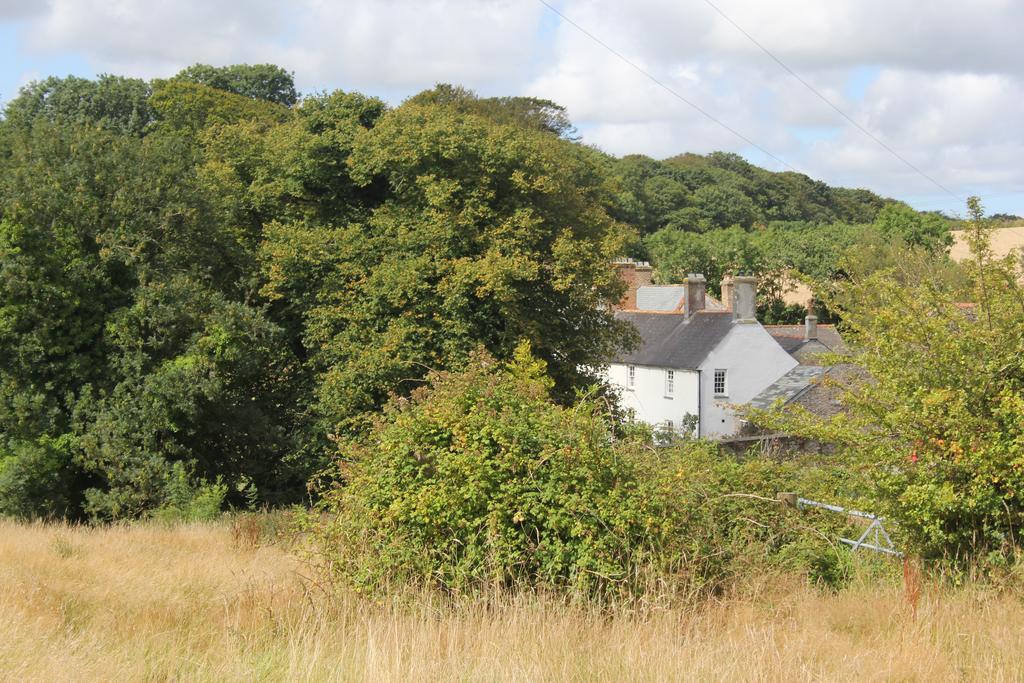 Costislost House Wadebridge Bagian luar foto